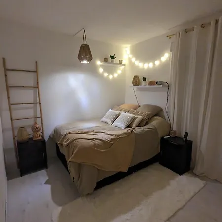 Cosy Et Chaleureux Apartment