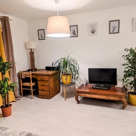 Cosy Et Chaleureux Apartment